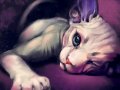 sp_12_5_16_pink_sphynx_by_goldendruid-dap90ib.jpg